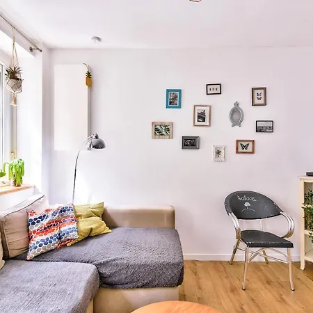 Comfortable Completely Renovated * Toulouse